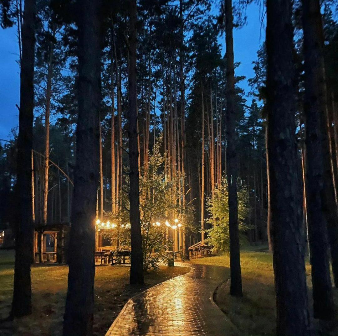 Sosnovel Hotel Voropajiv Kültér fotó