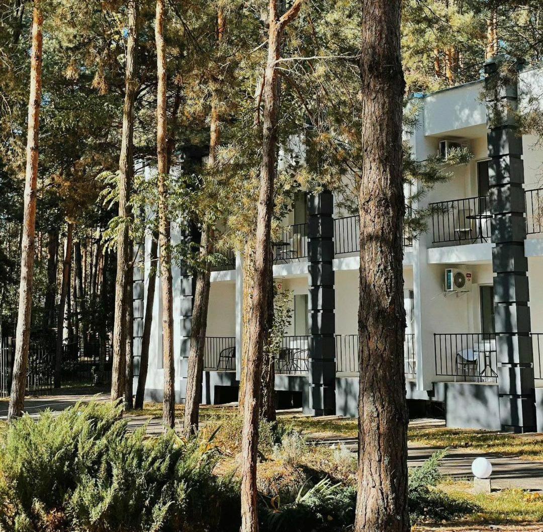 Sosnovel Hotel Voropajiv Kültér fotó